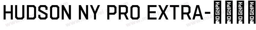 Hudson NY Pro Extra字体转换